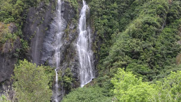 滝、熱帯雨林 — ストック動画