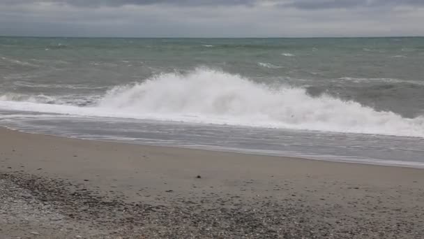 No Mar de Tasman — Vídeo de Stock