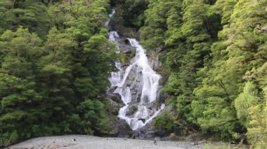 Tarihimin Falls - Yeni Zelanda