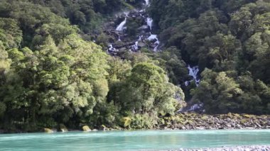 Kükreyen Billy Haast nehir üzerinde düşüyor