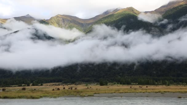 Mountains and Haast River — Stock Video
