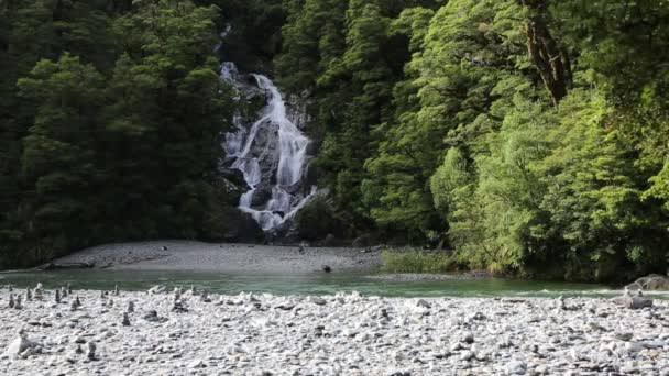 Fantail Falls on Haast River — Stock Video
