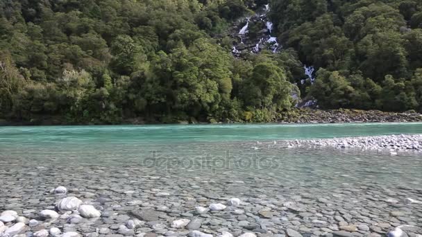 Blue River (Haast) — Stockvideo