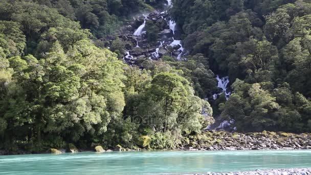 Rytande Billy faller på Haast River Stockvideo