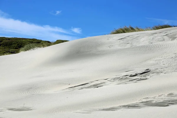 Duna di sabbia su Wharariki — Foto Stock