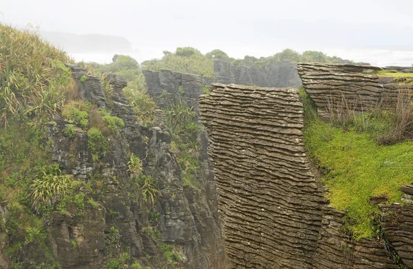 Naleśnik skały - Nowa Zelandia — Zdjęcie stockowe