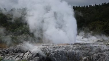 Geysers patlayan - Te Puia