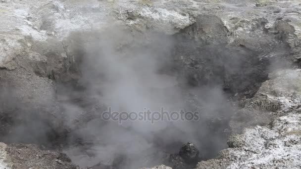 Devil 's pool - Waiotapu — стоковое видео