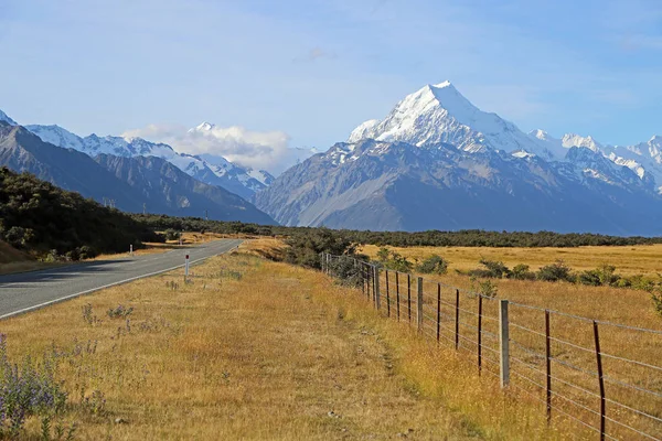 Çit ve Mt Cook