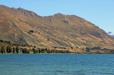 Wanaka göl kenarında tatil
