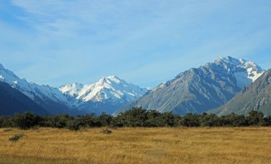 Minare ve bir çayır