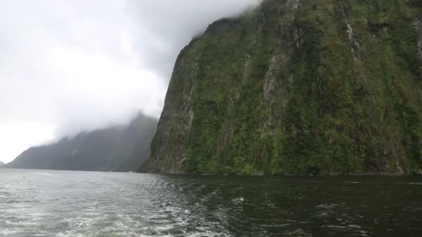 Grüne Klippen von Milford Sound — Stockvideo