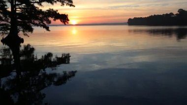 Reelfoot göl güneş doğarken