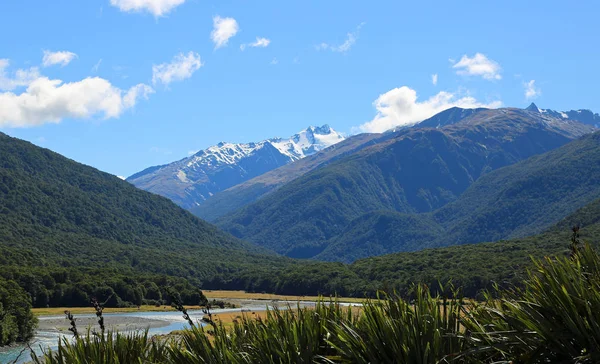 Makarora Valley - Nova Zelândia — Fotografia de Stock