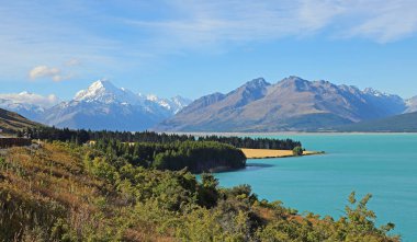 Mt Cook ile pastoral manzara