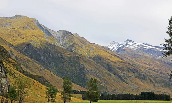 Mt Aspiring National Park — Stock Photo, Image