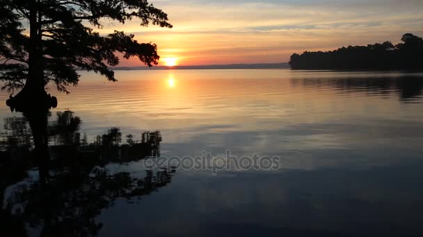 Touchdown - Salida del sol en el lago Reelfoot — Vídeos de Stock