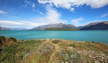 Panorama çiçek ve göl Wakatipu