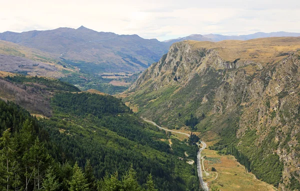 Queenstown Hill   -   New Zealand — Stock Photo, Image