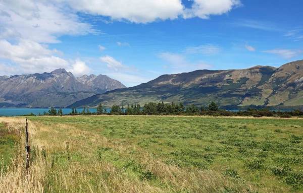 Pastwiska nad jeziorem Wakatipu — Zdjęcie stockowe
