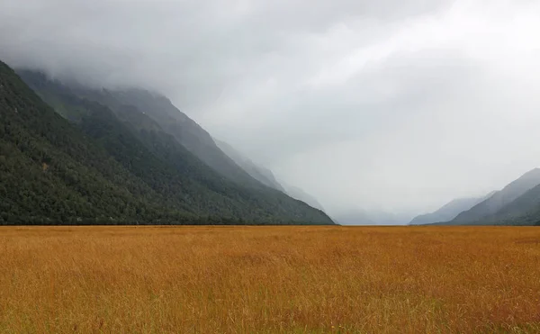 Ellington Valley - Новая Зеландия — стоковое фото