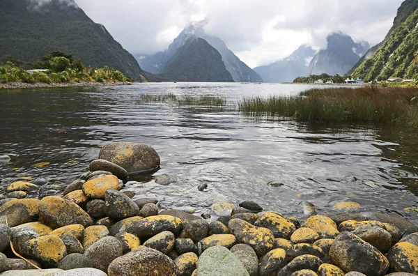 Rocas en Milford Sound —  Fotos de Stock