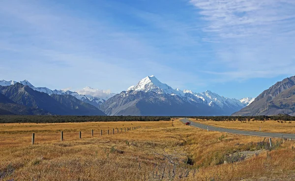 Meadow y Mt Cook — Foto de Stock
