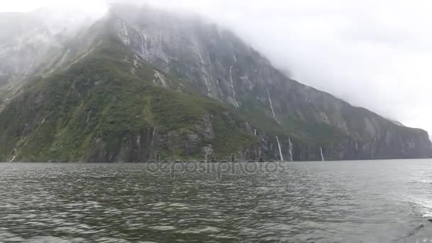 Crucero Milford Sound — Vídeo de stock