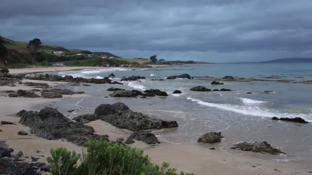 Willsher Bay - Nieuw-Zeeland — Stockvideo