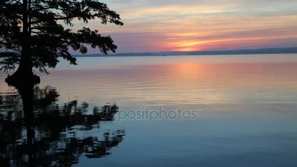 Nascer do sol em Reelfoot Lake — Vídeo de Stock