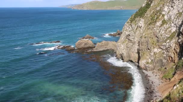 Roaring Bay - Nueva Zelanda — Vídeo de stock