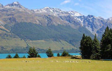 Güney Alpler'in pastoral mera