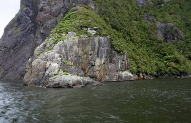 Uçurum ve vahşi mühürler