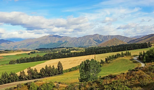 Speargrass Flat   -   New Zealand — Stock Photo, Image