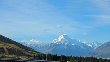 MT Cook üzerinde kara orman
