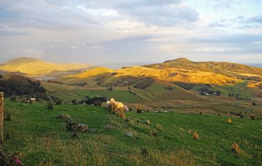 Günbatımı Harington noktasında