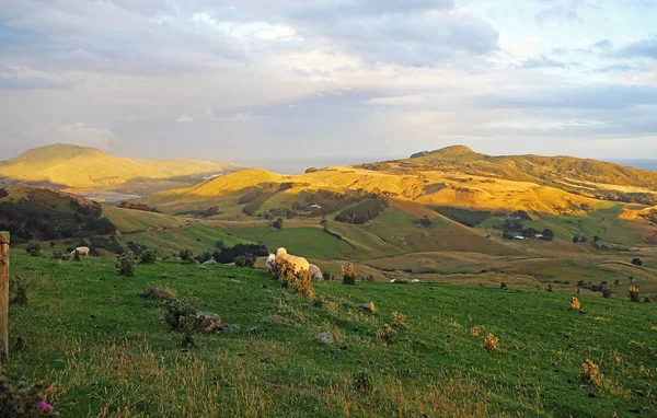 Günbatımı Harington noktasında