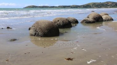 Moeraki kayaları - Yeni Zelanda