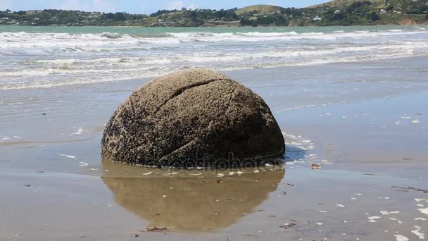 Круглая скала - Moeraki Boulders — стоковое видео