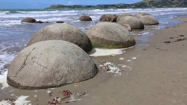 Moeraki валуни крупним планом — стокове відео