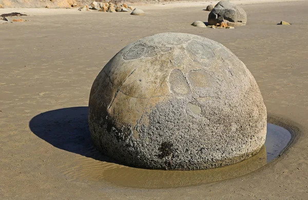 Mud stone on the beach — Stock Photo, Image