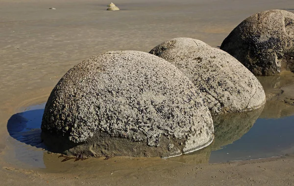 Mud stones on the beach — Stock Photo, Image