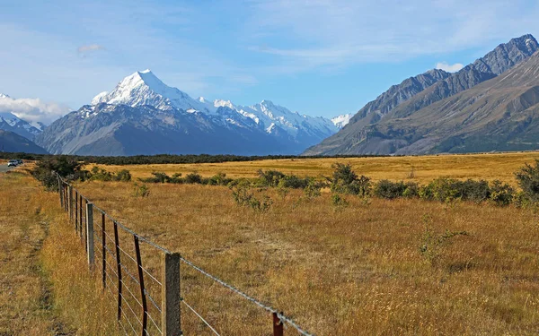 A cerca e Mt Cook — Fotografia de Stock