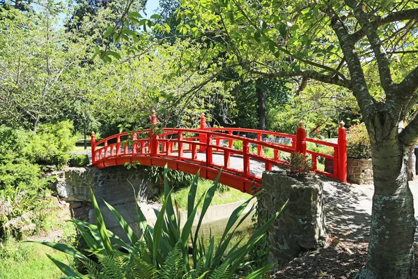 Japonský červený most a strom — Stock fotografie