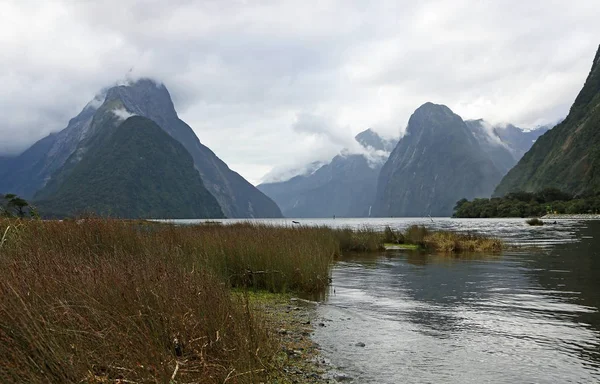 Puerta a Milford Sound —  Fotos de Stock