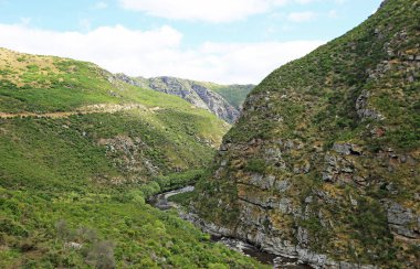 Taieri River Gorge kayalıklarla