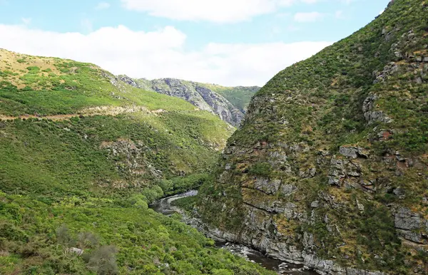 Taieri River Gorge kayalıklarla