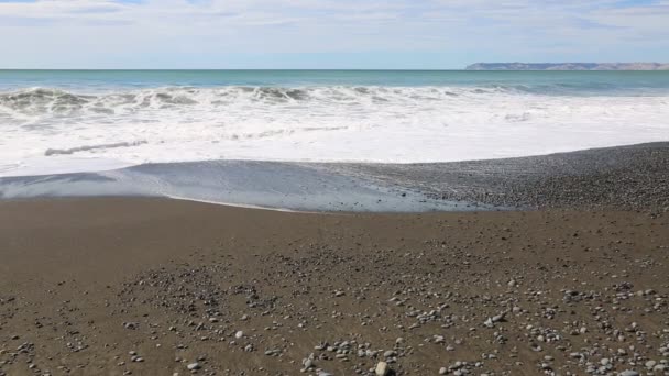 Pazifikküste - Neuseeland — Stockvideo