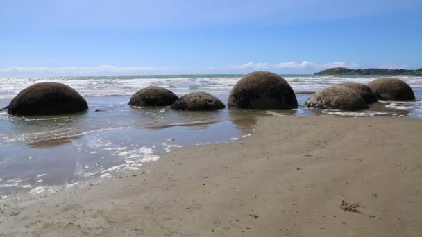 Moeraki rotsblokken - Nieuw-Zeeland — Stockvideo