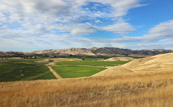 Marlborough bölgesi - Yeni Zelanda — Stok fotoğraf